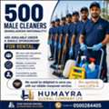 500 Single Sponsorship Cleaning Worker Available For Rental