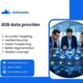 B2B Data Provider