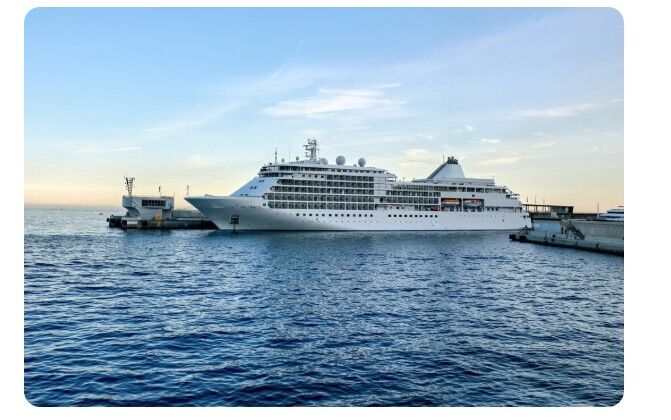 New York, Travel, Private Cruises & Dolphin Tours Naples FL | Reel 1 Up
