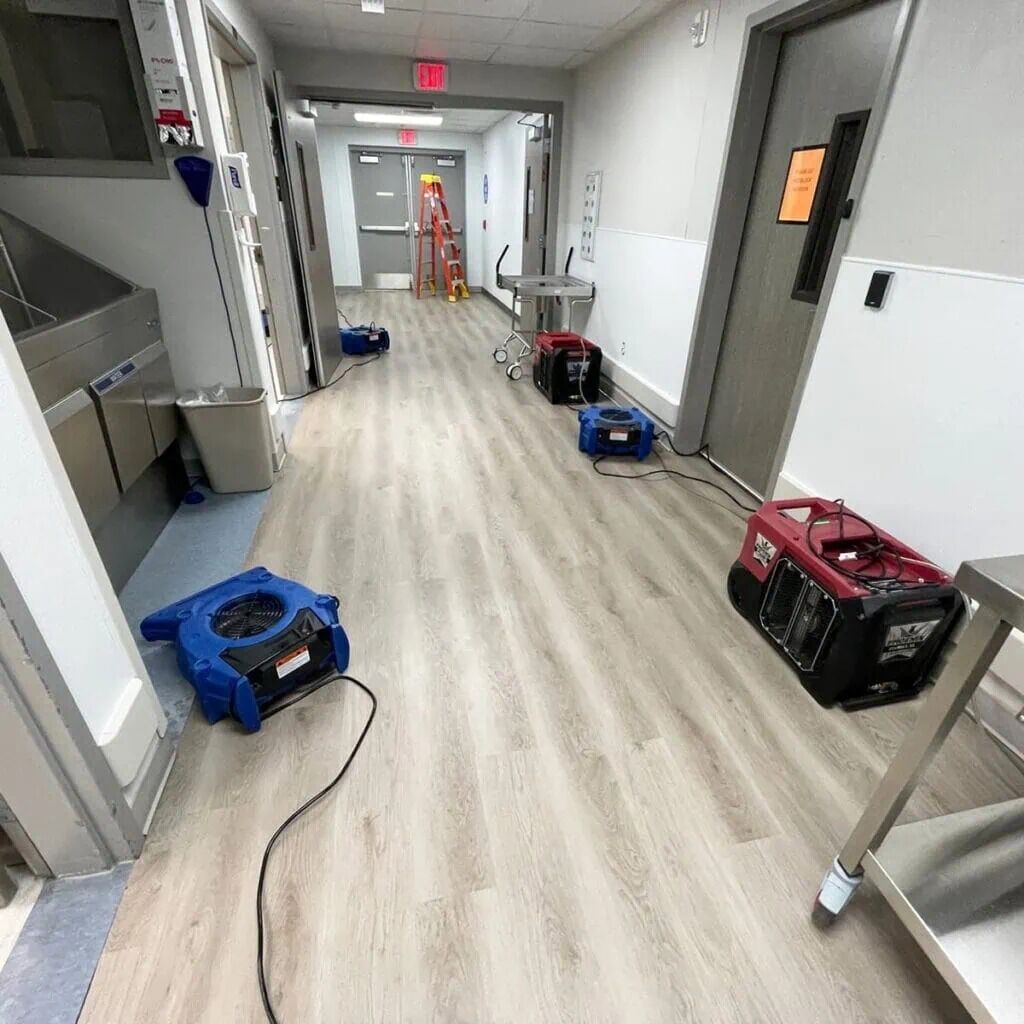 Houston, Business, R&L Restoration