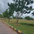 INR 16499,  270 Sq. Yard,  Low Budget Premium Open Plots For Sale Near Fcda Office & Skill University