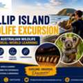 Phillip Island Wildlife Excursion Discover Australian Wildlife Through Real-World Learning