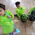 Montessori Daycare In Calgary With Learning And Daily Care