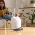 Plant Based Essential Oils For Immune Wellness