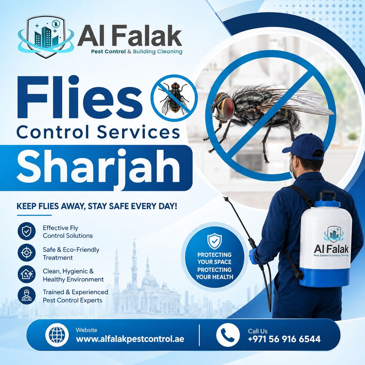 Sharjah, Pest Control, Professional Flies Control Services In Sharjah By Al Falak &ndash; Call +971 56 916 6544 For Exp