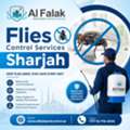 Professional Flies Control Services In Sharjah By Al Falak &ndash; Call +971 56 916 6544 For Exp