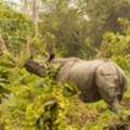 Best Safari Tours In India