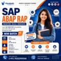 SAP ABAP RAP Online Training: Join New  Batch Sep 8th