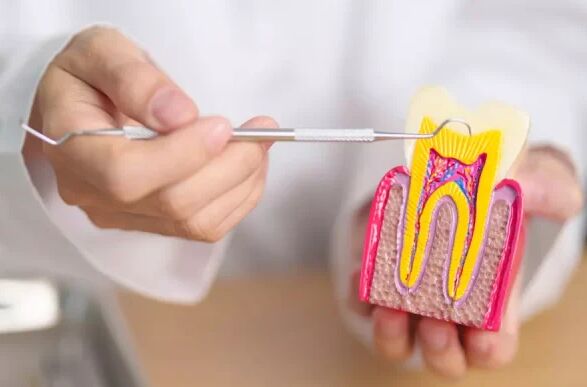 New York, Dental, Professional Dental Implants Services In Rosedale, MD