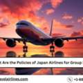 What Are The Policies Of Japan Airlines For Group Booking?