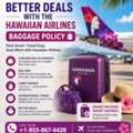 Better Deals With The Hawaiian Airlines Baggage Policy