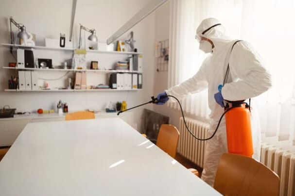 Karachi, Pest Control, Pest Control