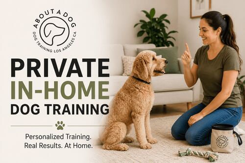 Los Angeles, Pet Sitting, Private In-Home Dog Training | About A Dog