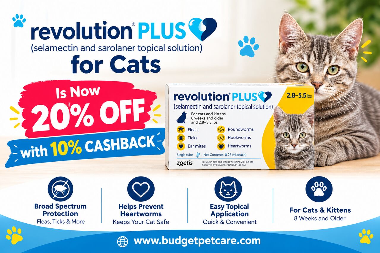 New York, Pet Supplies, Revolution Plus For Cats Is Now 20% Off With 10% Cashback