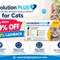 Revolution Plus For Cats Is Now 20% Off With 10% Cashback