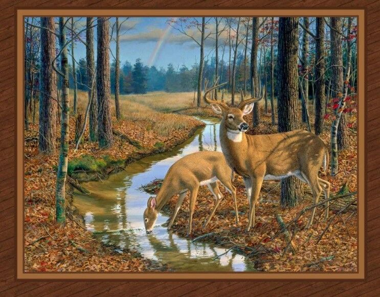 New York, Business, Buy Quilt Panels Online Clearance