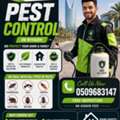 MS EXPERT'S✅PEST CONTROL COCKROACH🪳SPRAYS (⁠✧✧⁠)BED BUGS💚SOLUTION KILLING(0509683147)✅26