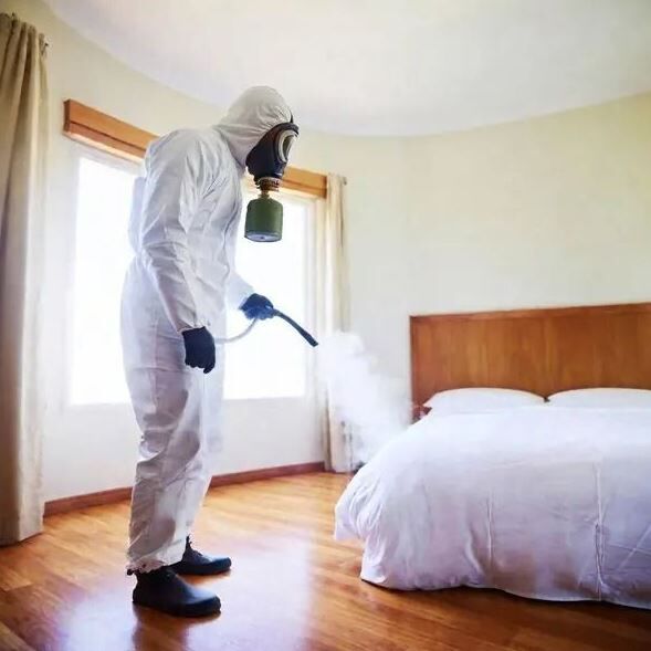 Karachi, Pest Control, Bed Bugs Treatment