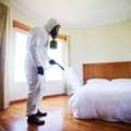 Bed Bugs Treatment