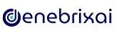 Austin, Web Design & Development, Denebrix AI | Intelligent AI Solutions For Business Growth