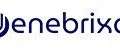 Denebrix AI | Intelligent AI Solutions For Business Growth