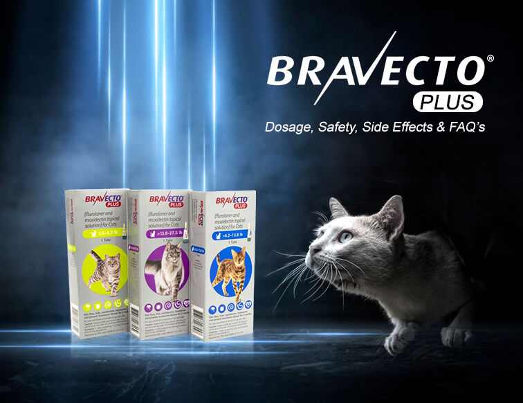 New York, Pet Supplies, USD 35,  Buy Bravecto Plus For Cats &ndash; Get 20% OFF + FREE SHIPPING At PetCareClub!