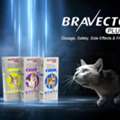 USD 35,  Buy Bravecto Plus For Cats &ndash; Get 20% OFF + FREE SHIPPING At PetCareClub!