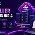 Reseller Hosting India For New Businesses