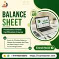 Learn Online Book Keeping And Balance Sheet Finalization