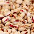 IRR 40000000, بيع وتصدير الفستق من الدرجة الأولى Selling And Exporting First-cla