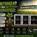 Looking For Bulk Nitrogen Fixing Bacteria? Send Your Requirement Today