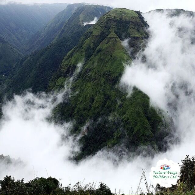 Kolkata, Travel, North East Tour Package &ndash; Plan Your Perfect Northeast India Holiday