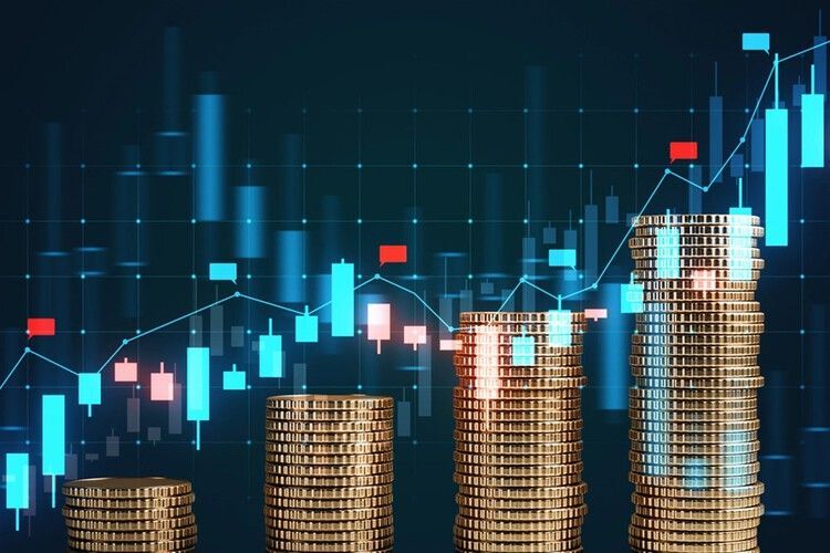 New Delhi, Financial, Think Next IT Solution: India