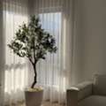Plant Pots Indoor