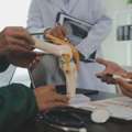 What To Know Before Joining A Fellowship In Rheumatology In India