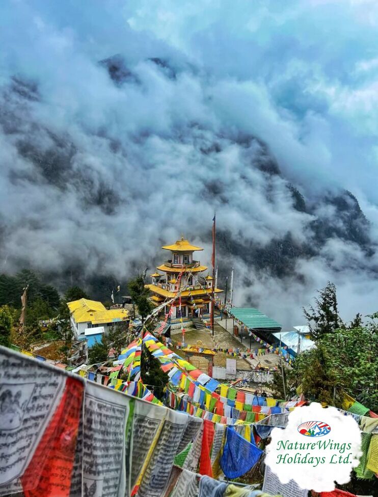 Kolkata, Travel, Tawang Tour Package &ndash; Explore Sela Pass, Bum La & Tawang Monastery