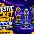 List Of Domestic Cricket Tournaments In India: From Ranji To T20