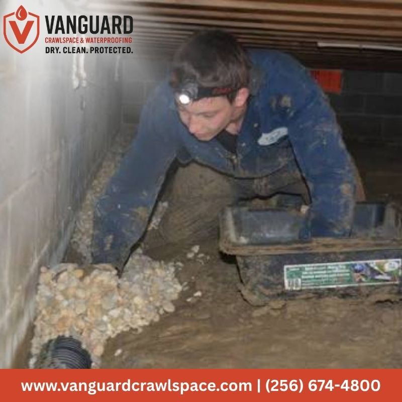 New York, Real Estate, Crawlspace Waterproofing In Decatur | Vanguard Crawlspace & Waterproofing