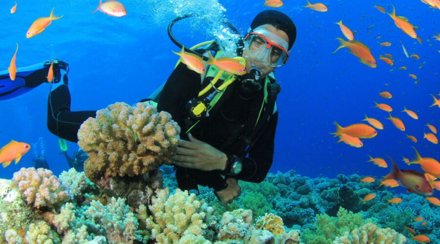 New Delhi, Travel, DESNOR DESTINATION- Andaman Trip