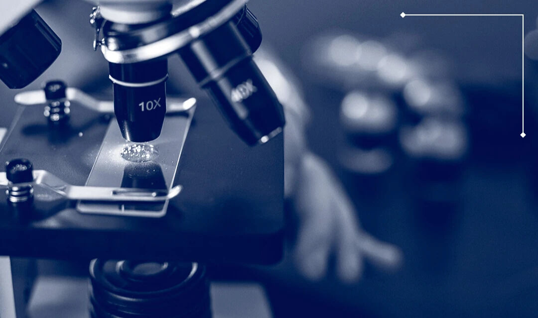 New York, Business, Life Sciences Recruitment Support For Growing Organizations