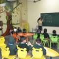 Best Nursery Schools In Baddi | Vivek International Public School Baddi