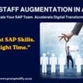 SAP Staff Augmentation In Africa: Complete Guide For Businesses