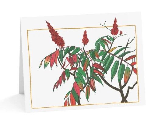 New York, Household Items, USD 6,  Winter Greeting Cards To Send Warm Wishes This Season | Moon Ma Cards