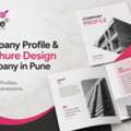 Website Hosting Services In Pune | Pink Turtle