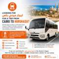 ايجار ميني باص Toyota Coaster 21-Seater To Hurghada From Cairo | Bus Rental In Egypt For C