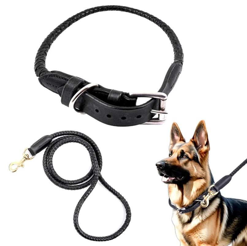 Mumbai, Pet Supplies, INR 949,  Stylish Dog Collar And Leash Set
