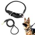 INR 949,  Stylish Dog Collar And Leash Set