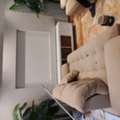 Painting (دهانات) | Gypsum Board (جبس بورد) | Tiles (بلاط)