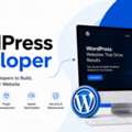 Hire A WordPress Developer | WordPress Development Company