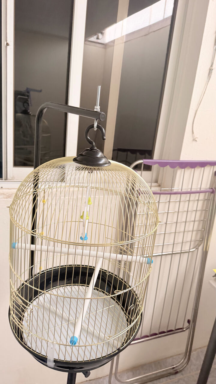 Al Malaz, Pet Supplies, SAR 150,  Selling Birds Cage Plus Food